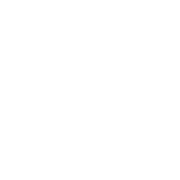 sales manager icon