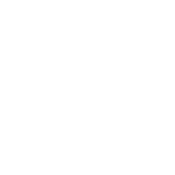 dry cleaning icon