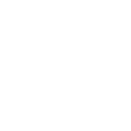 presser icon