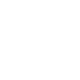 sales icon