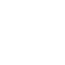 delivery driver icon