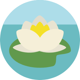 Massage therapy & physiotherapy clinics